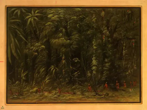 Innenraum eines Amazonas-Waldes - Zurumati - George Catlin