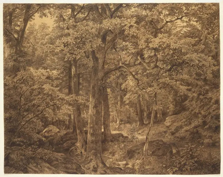 Inneres des Waldes - William Trost Richards