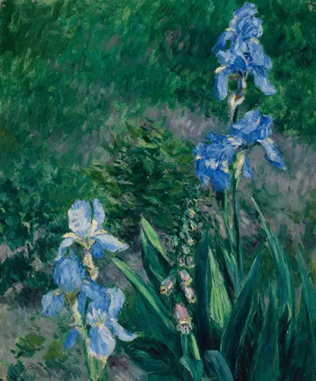Blaue Iris, Garten von Petit Gennevilliers - Gustave Caillebotte