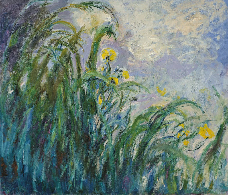 Die gelben Iris - Claude Monet