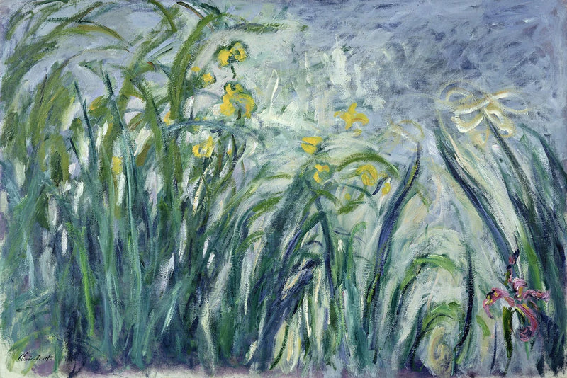 Gelbe und violette Iris - Claude Monet