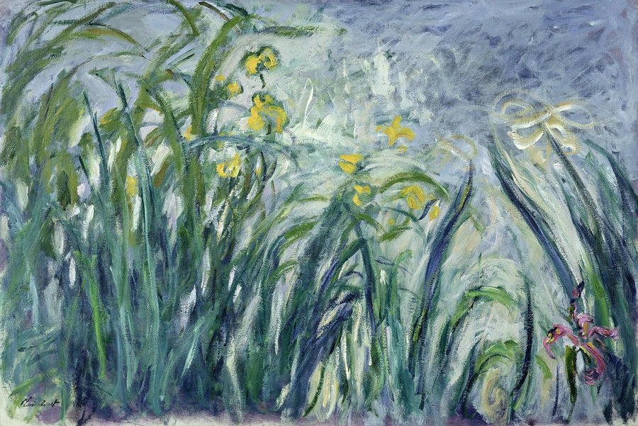 Gelbe und violette Iris - Claude Monet