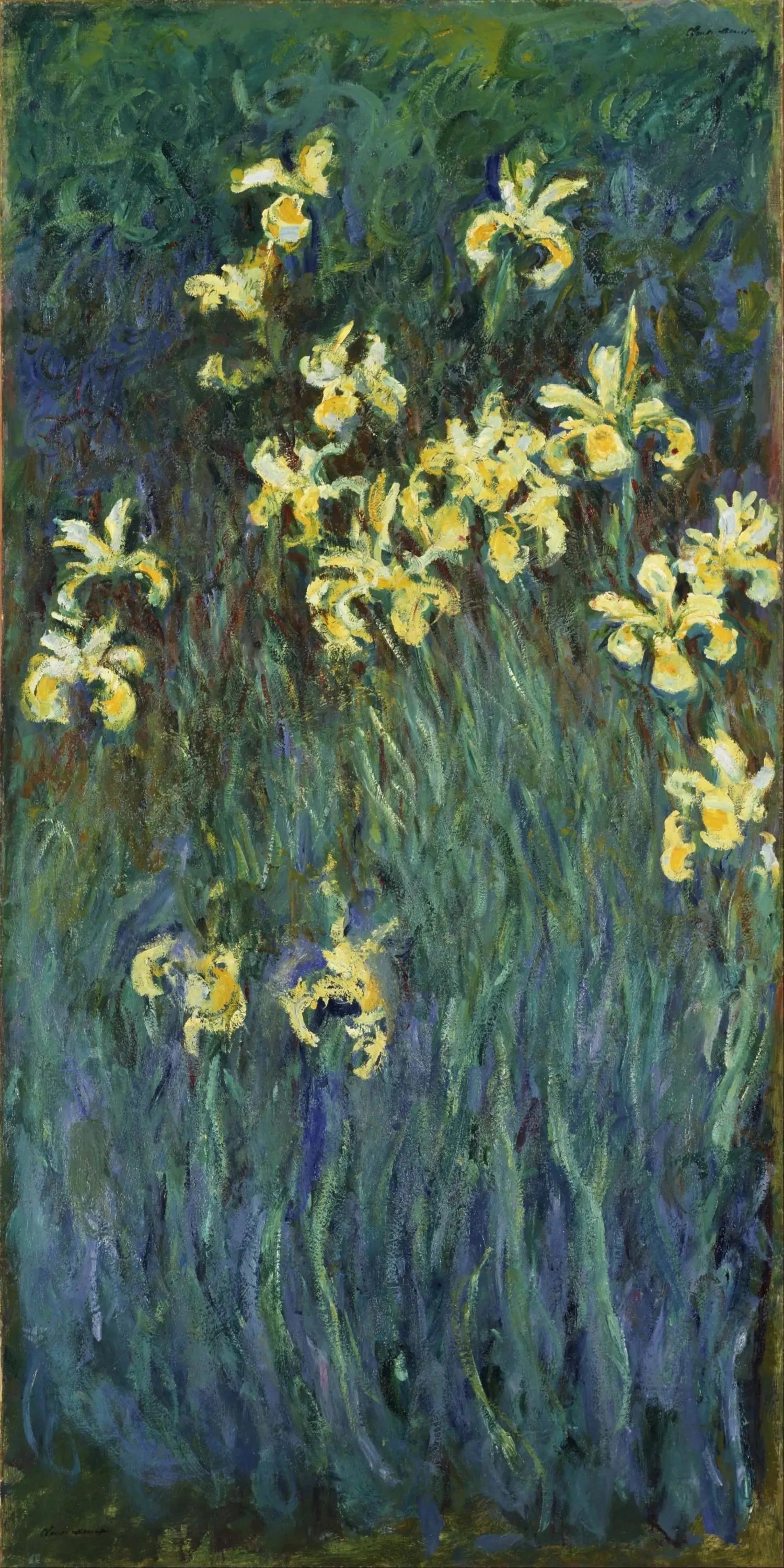 Iris jaunes de Claude Monet, vers 1914–1917 – National Museum of Western Art P.1986-0002, Wildenstein 1826