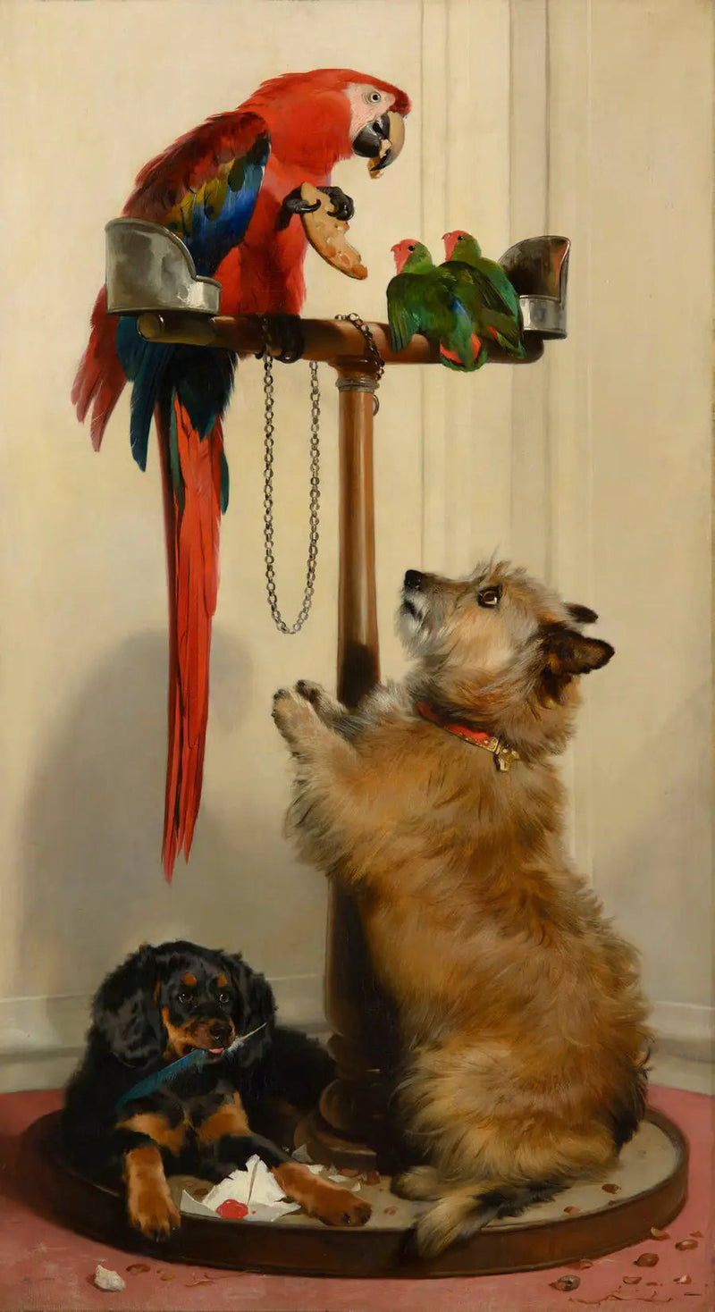 Islay, Tilco, ein Ara und zwei Unzertrennliche - Edwin Henry Landseer