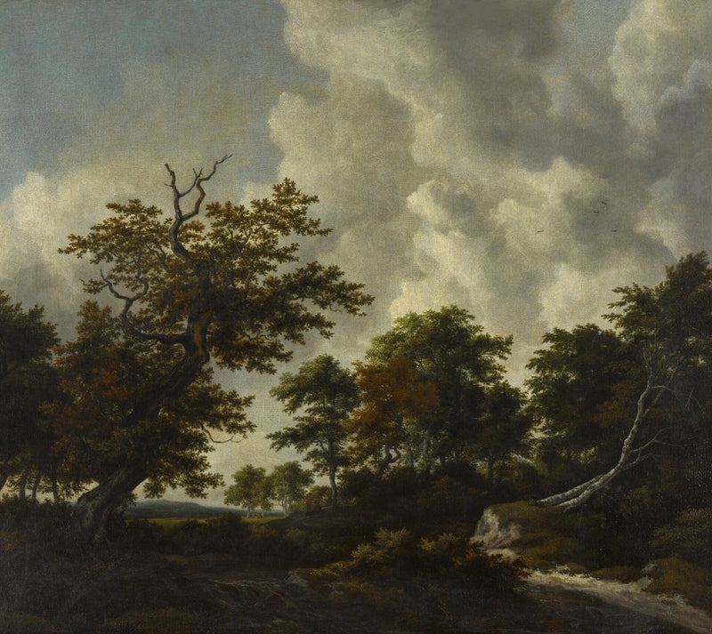 Grand chêne et hêtres abattus près d’une cascade - Jacob van Ruisdael