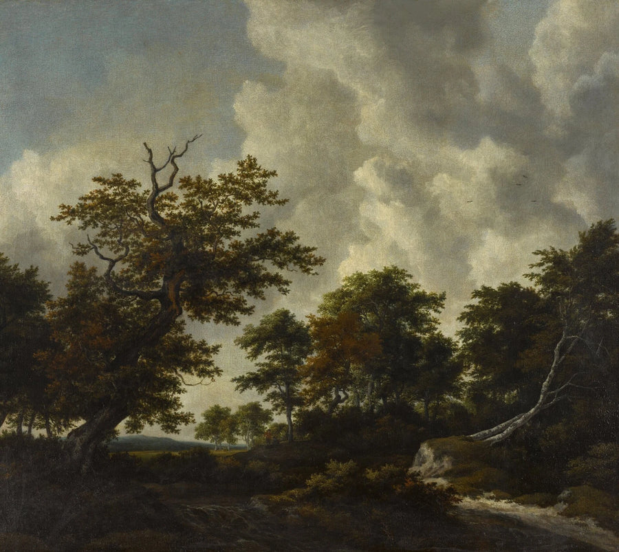 Grand chêne et hêtres abattus près d’une cascade - Jacob van Ruisdael
