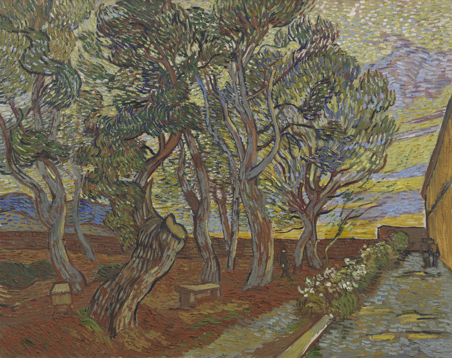 Garten der Anstalt - Vincent van Gogh