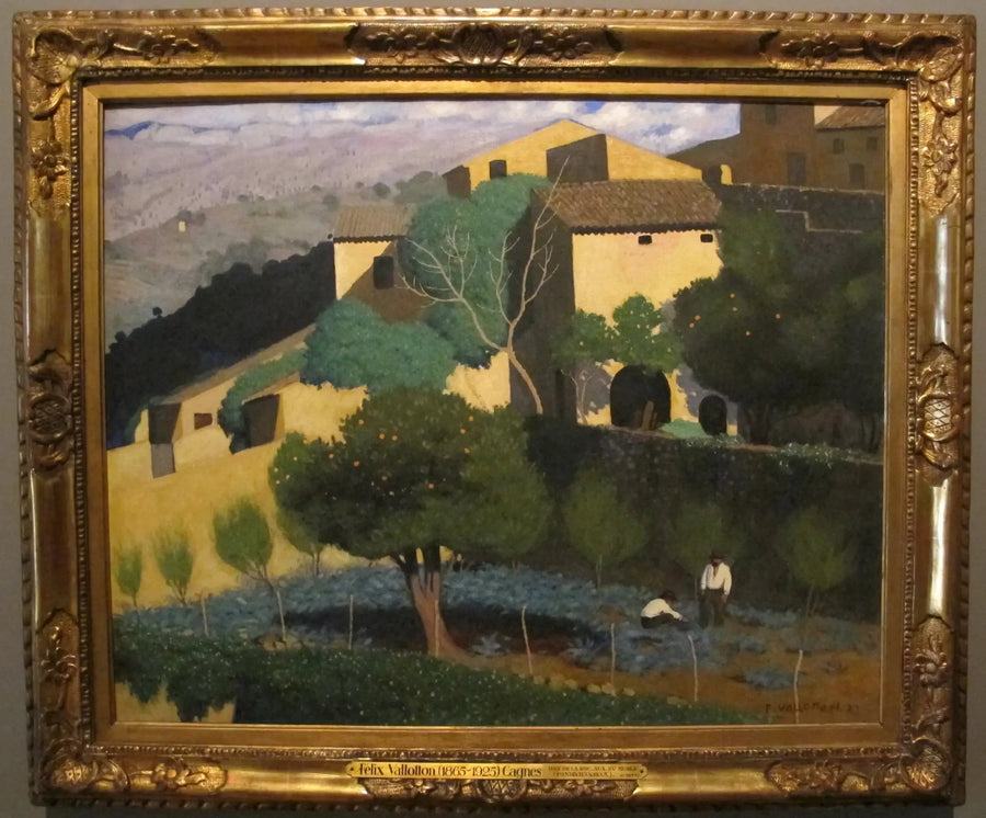 Orangenhain in Cagnes - Félix Vallotton