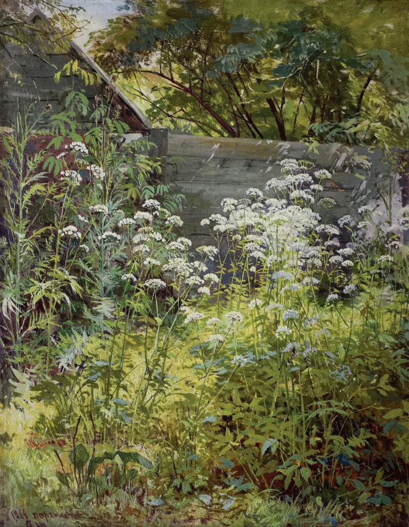 Ecken-Garten überwuchert von Vegetation. Aegopodium - Ivan Chichkine
