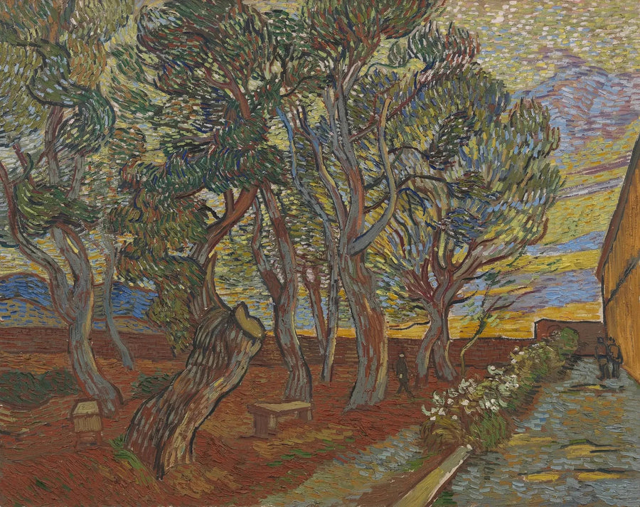 Garten der Anstalt - Vincent van Gogh