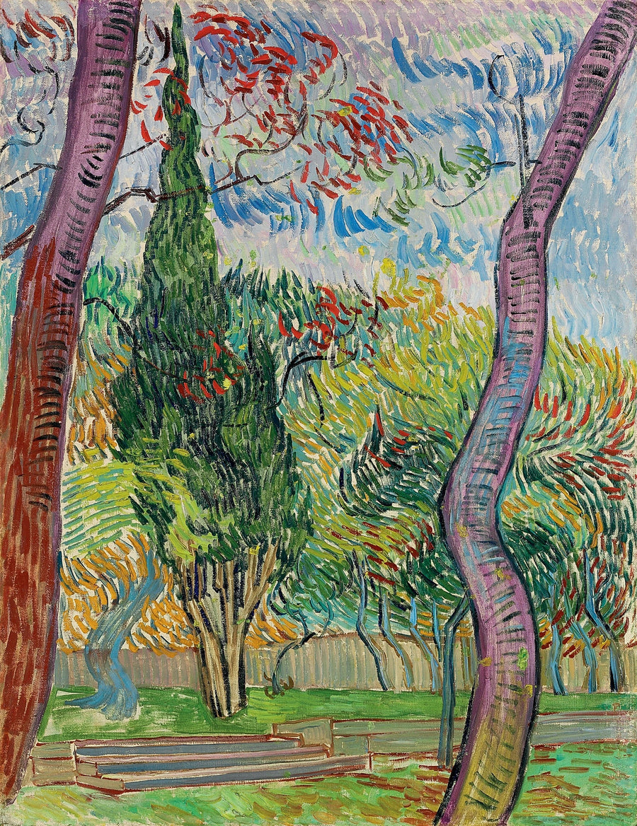 Park des Krankenhauses Saint-Paul - Vincent van Gogh