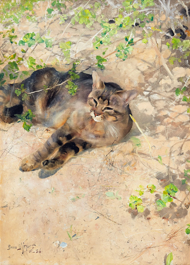 Jeppe, die Katze, im Frühlingssonnenschein – Bruno Liljefors