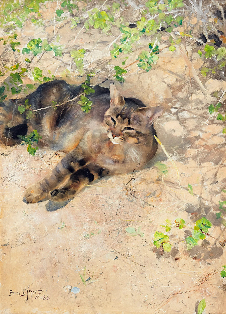 Jeppe, die Katze, im Frühlingssonnenschein – Bruno Liljefors