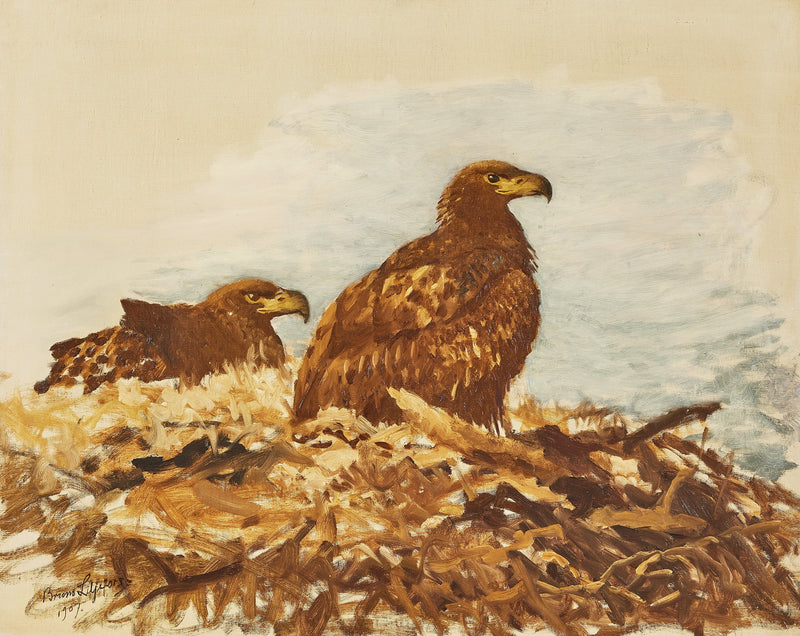 Junge Seeadler - Bruno Liljefors