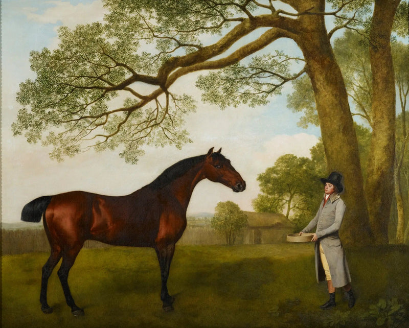 John Gascoigne mit einem braunen Pferd - George Stubbs