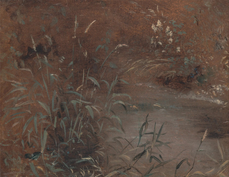Joncs am Beckenrand - John Constable