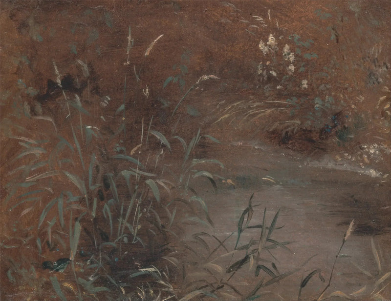 Joncs am Beckenrand - John Constable