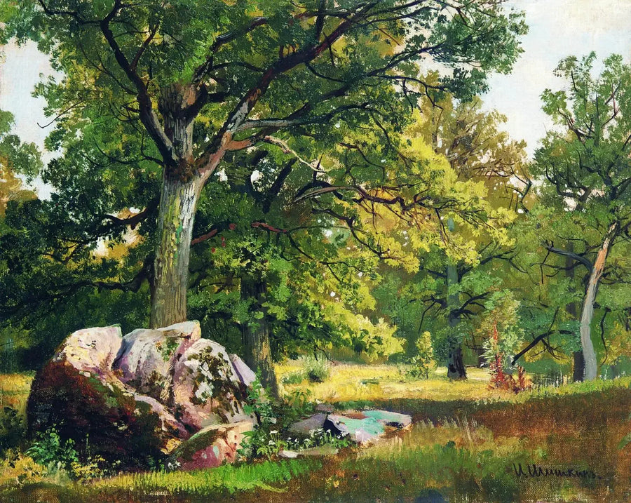 Sonniger Tag im Wald. Eichen - Ivan Chichkine