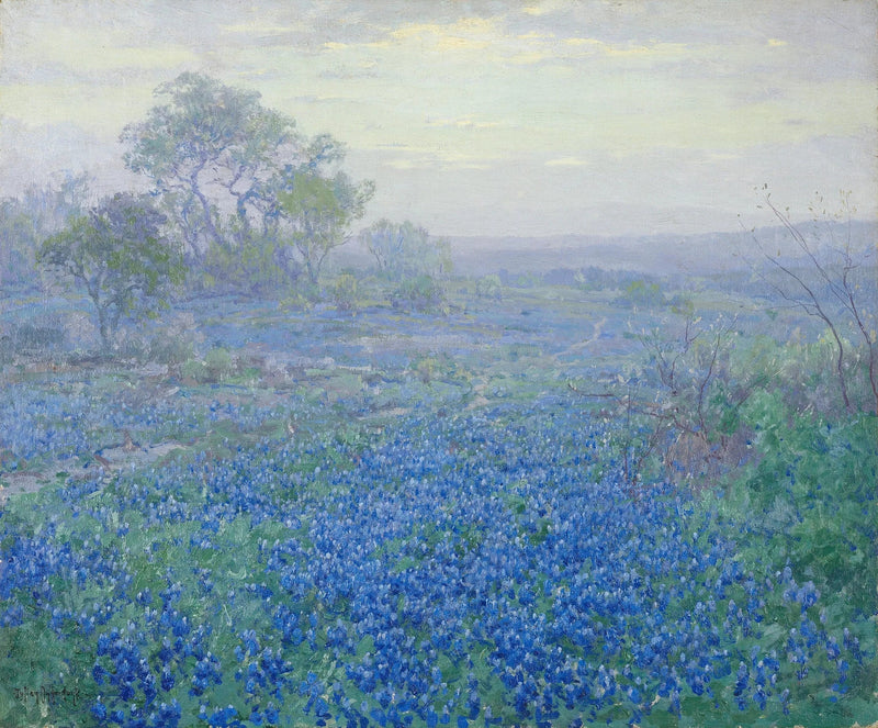 Bewölkter Tag, blaue Lupinen in der Nähe von San Antonio, Texas – Julian Onderdonk