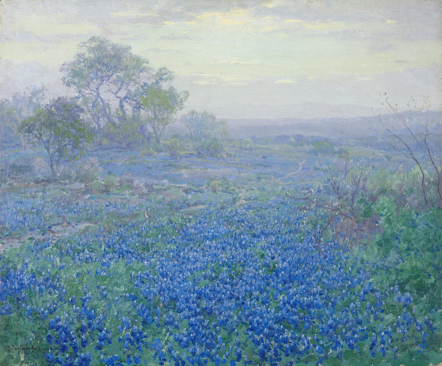 Bewölkter Tag, blaue Lupinen in der Nähe von San Antonio, Texas – Julian Onderdonk
