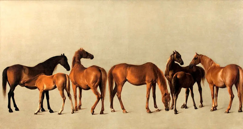 Stuten und Fohlen ohne Vorgeschichte - George Stubbs