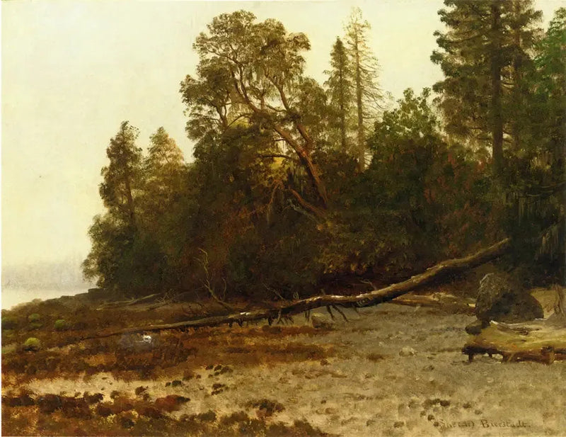 Der gefallene Baum - Albert Bierstadt