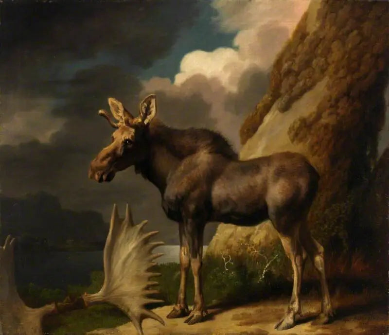 Der Elan - George Stubbs