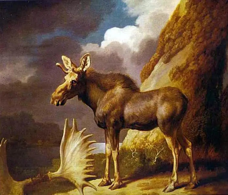 Der Elan - George Stubbs