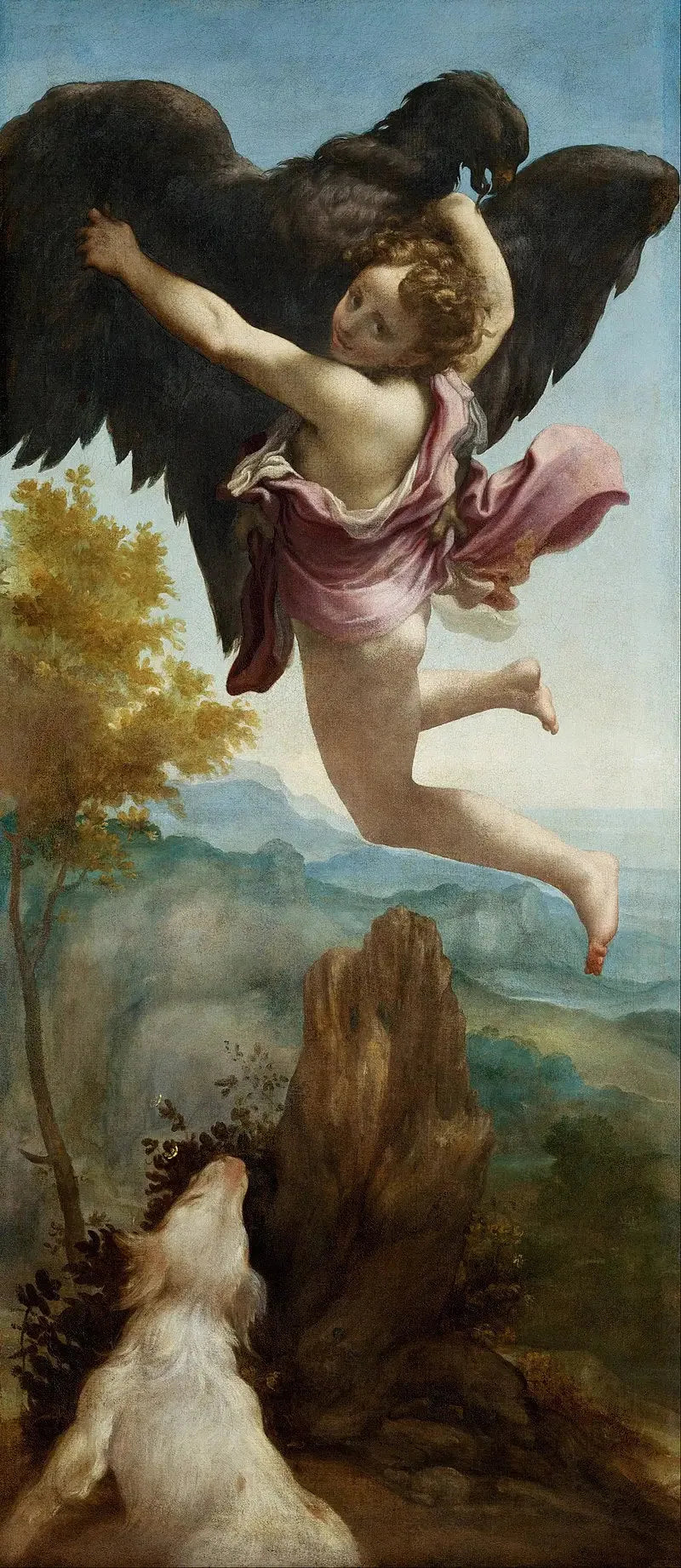 L'Enlèvement de Ganymède - Antonio da Correggio image 1 copie peinte à la main à l’huile