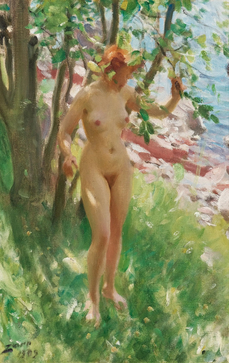 Der Schatten - Anders Zorn