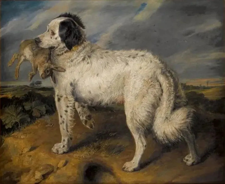 Die Championin : Venus - Edwin Henry Landseer