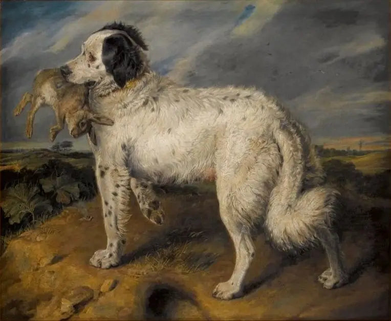 Die Championin : Venus - Edwin Henry Landseer