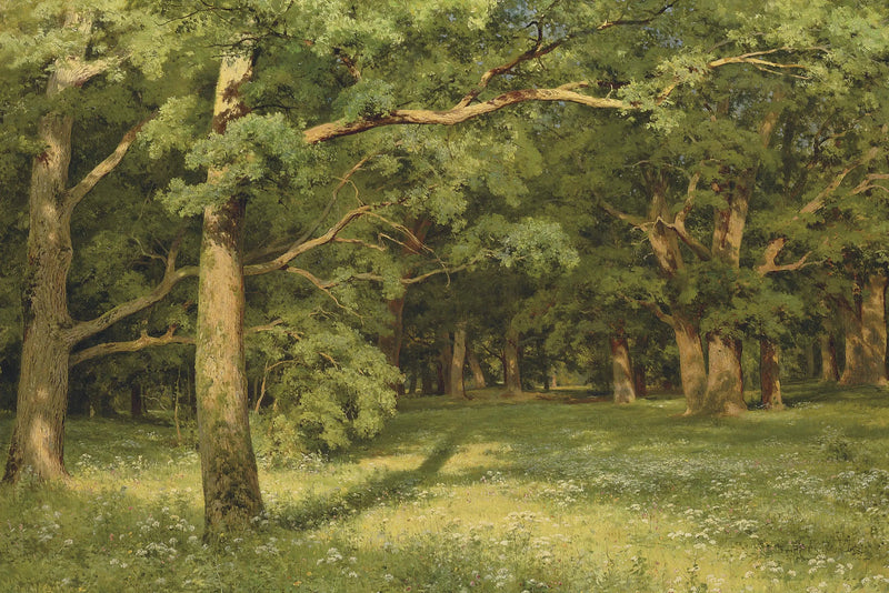 Die Lichtung im Wald - Ivan Chichkine