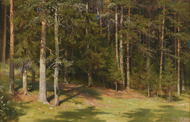 Die Lichtung - Ivan Chichkine