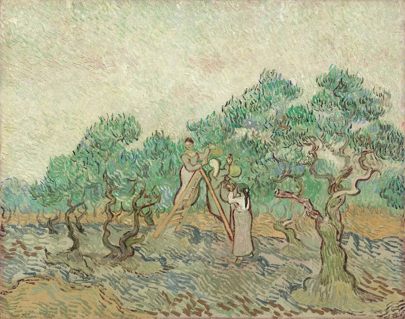 Die Olivenernte - Vincent van Gogh