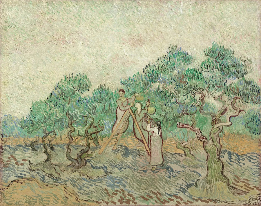 Die Olivenernte - Vincent van Gogh