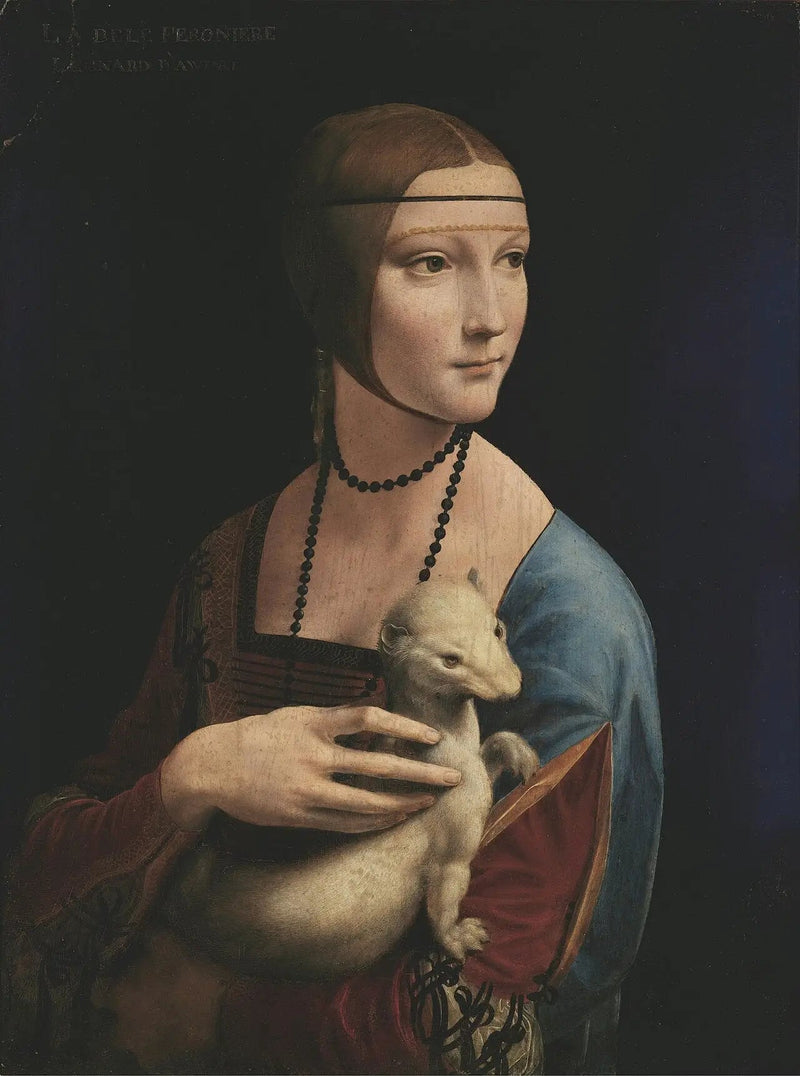 Die Dame mit dem Hermelin - Leonardo da Vinci