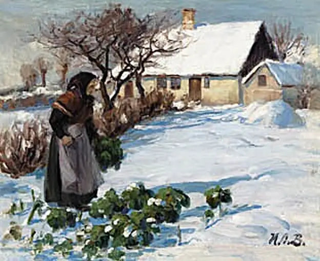 Die Frau eines Bauern, der im Winter Kohl im Garten erntet. - H. A. Brendekilde