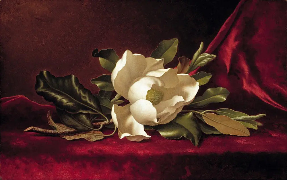 La fleur de magnolia - Martin Johnson Heade image 1 tableau peint à l’huile sur toile