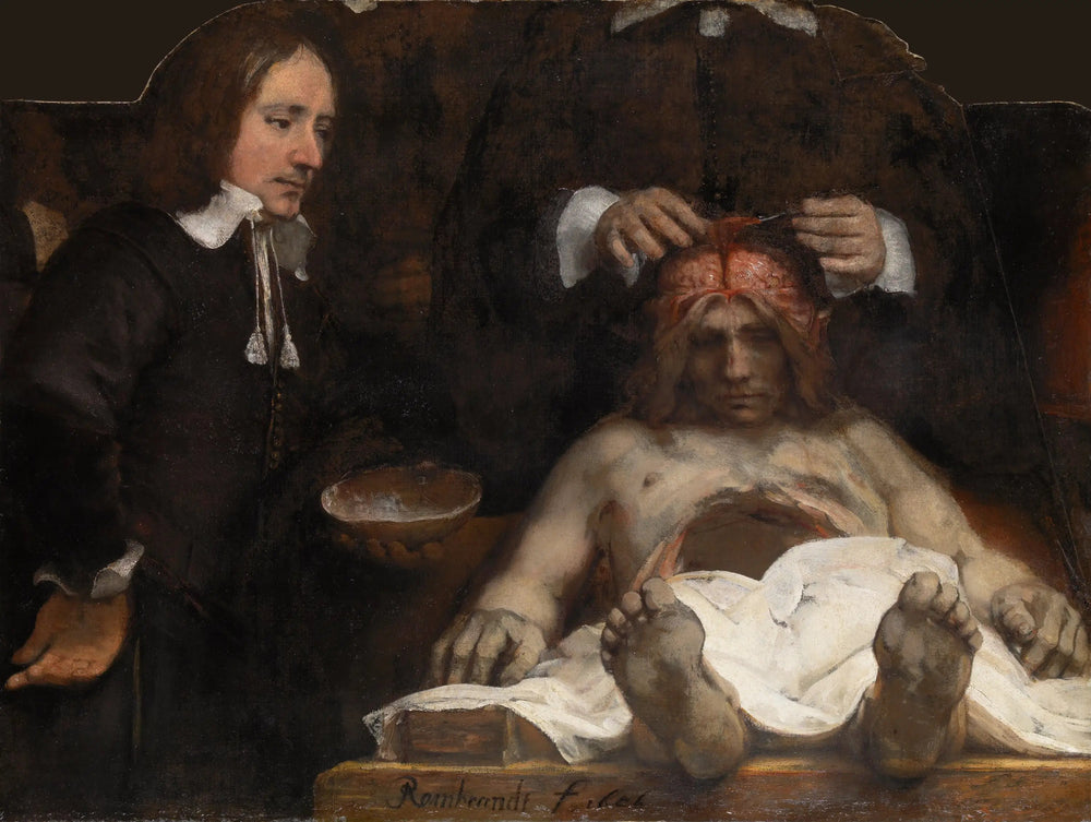 La Leçon d'anatomie du Docteur Joan Deyman - Rembrandt image 1 copie peinte à la main à l’huile