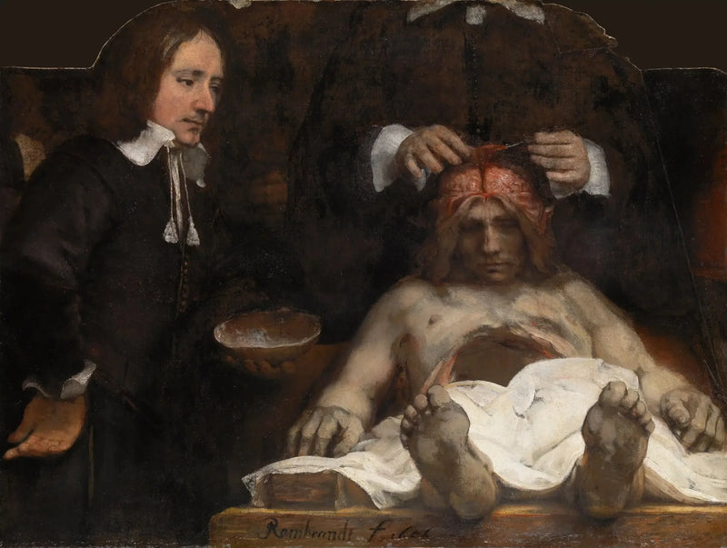 Die Anatomielektion des Doktors Joan Deyman - Rembrandt