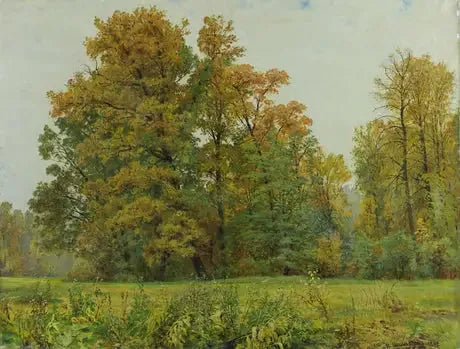 Die Waldkante - Ivan Chichkine