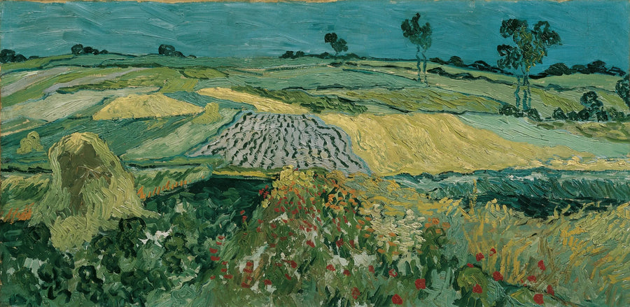 Die Ebene von Auvers - Vincent van Gogh
