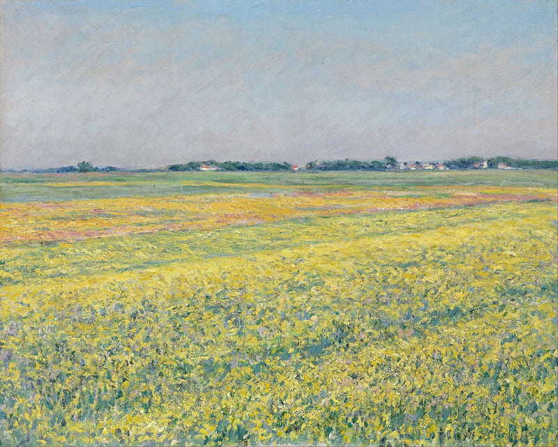 Die Ebene von Gennevilliers, gelbe Felder - Gustave Caillebotte