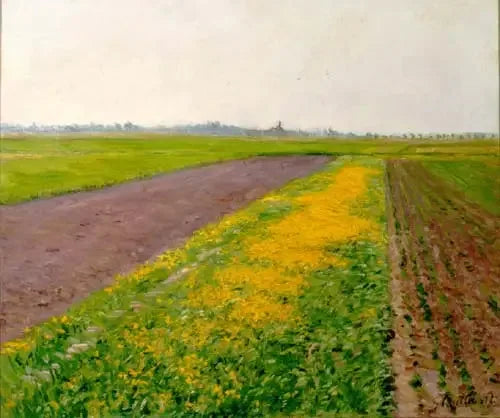 Die Ebene von Gennevilliers - Gustave Caillebotte