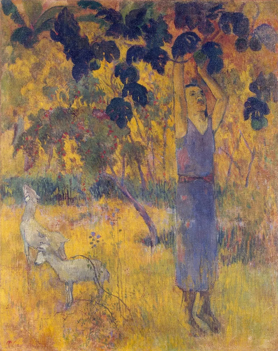 Die Ernte oder Mensch, der Früchte pflückt - Paul Gauguin