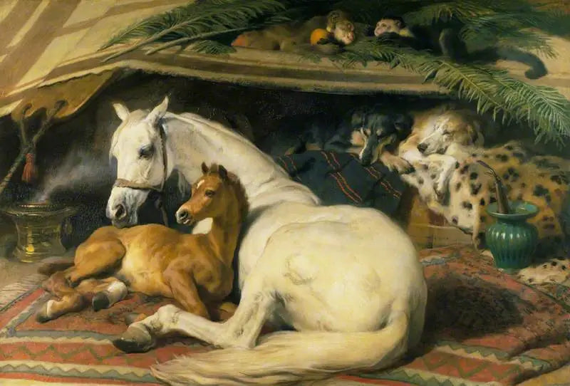 Die Arabische Zelt - Edwin Henry Landseer