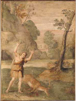 Die Verwandlung des Cyparissus - Domenichino