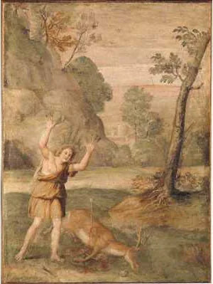 Die Verwandlung des Cyparissus - Domenichino