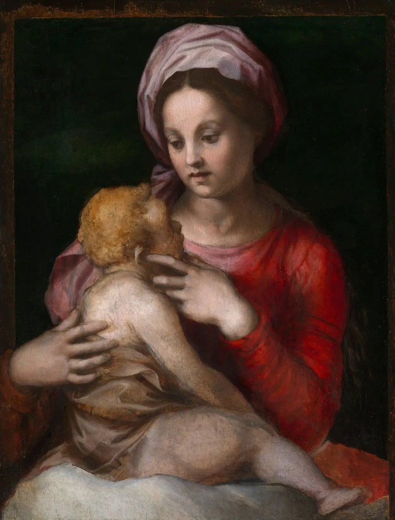 Die Jungfrau mit dem Kind - Andrea del Sarto